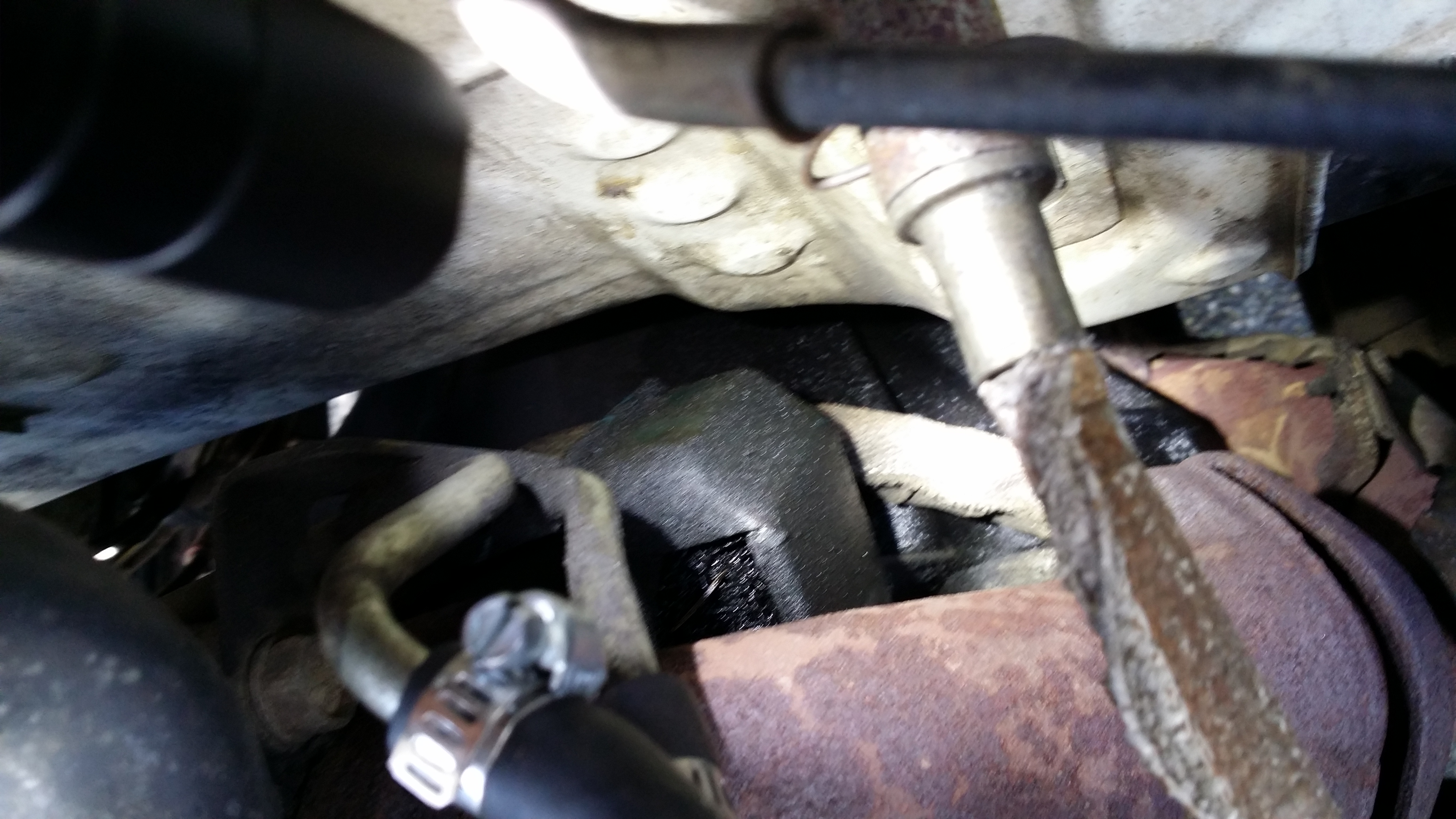20150425_173058.jpg