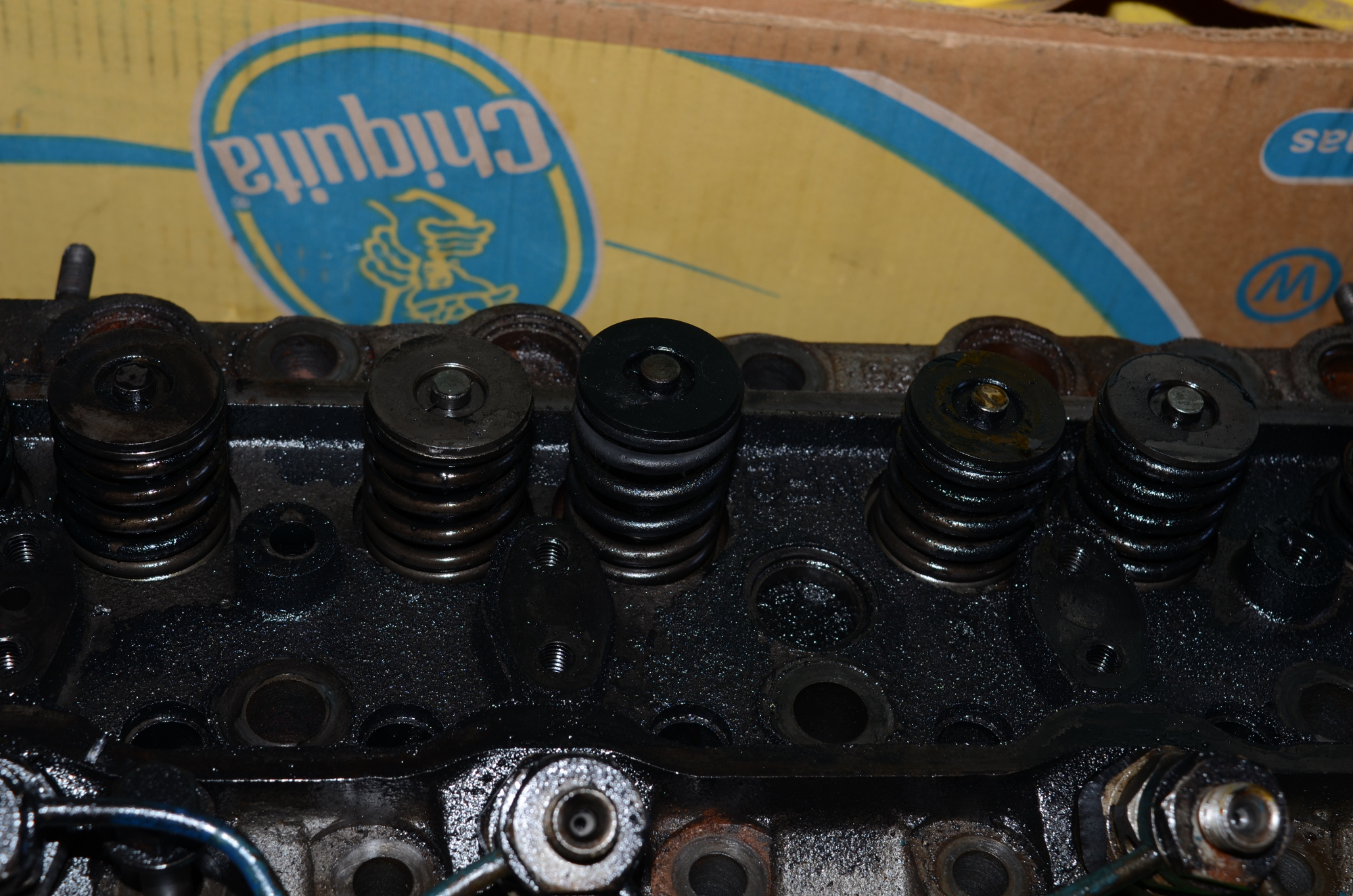 the spring. The discoloration was more prominent before accidentally getting oiled during removal